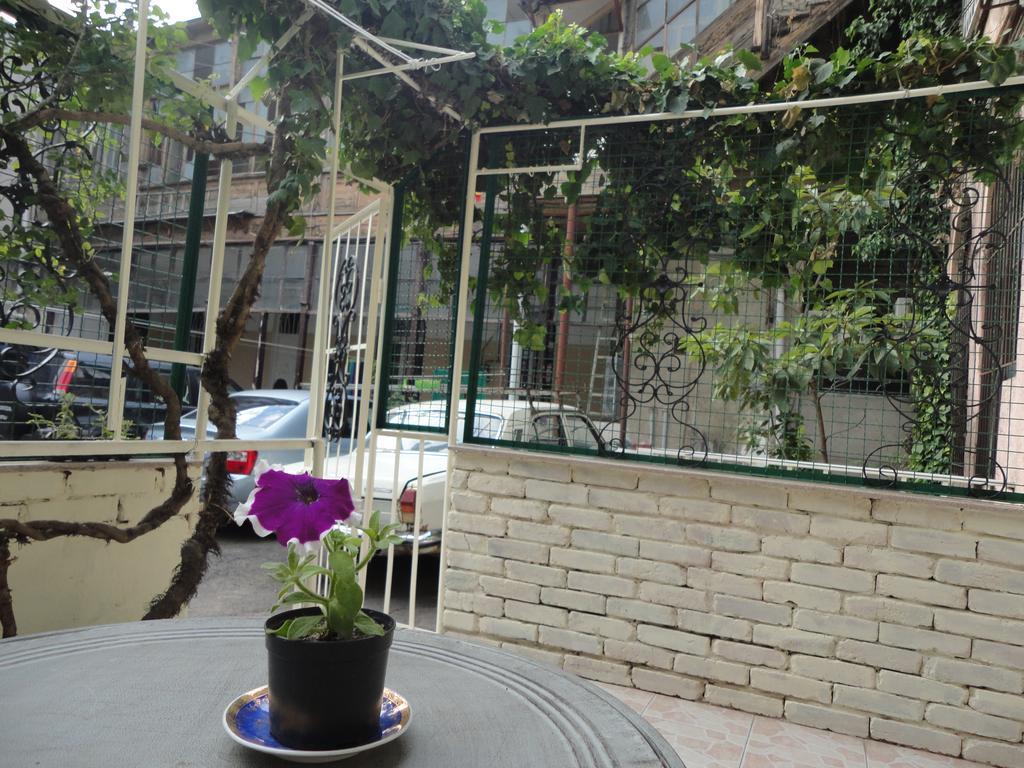 Apartment Art House Petunia